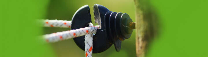 weidezaunisolator kategorieeinstiegsbanner